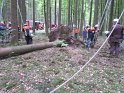 Maibaum_2018 (36)